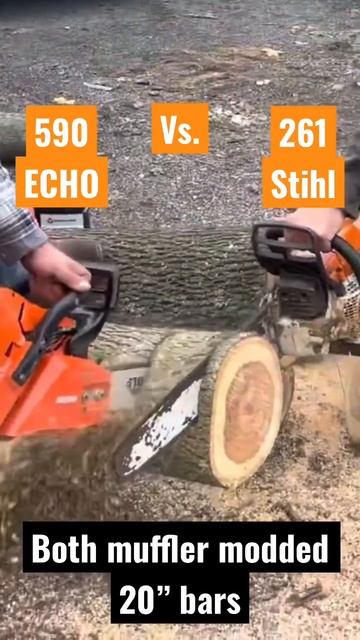 Echo 590 or Stihl 261: Who Wins the Chainsaw Showdown? смотреть онлайн