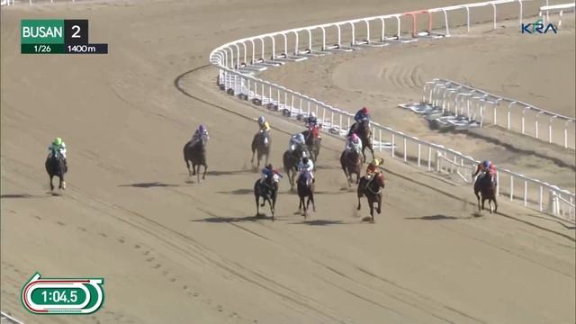 (Busan) 2024.01.26 R2 Class 6 (1400M) Special Weight A смотреть онлайн