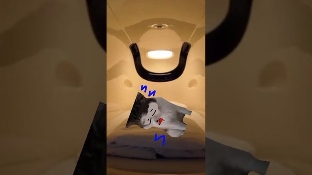 НЛО! 2 часть УКРАЛИ ТИМОХУ!?!? ШОК ПРЕМЬРА! ~2022~ /🐱super_pets♣️\ смотреть онлайн