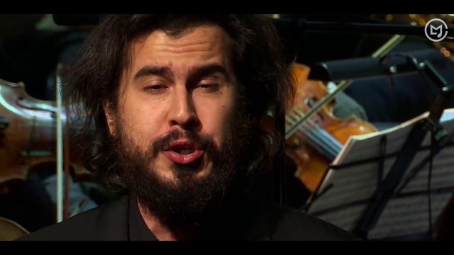 П.И. ЧАЙКОВСКИЙ Ария Гремина «Любви все возрасты покорны» из оперы «Евгений Онегин» смотреть онлайн