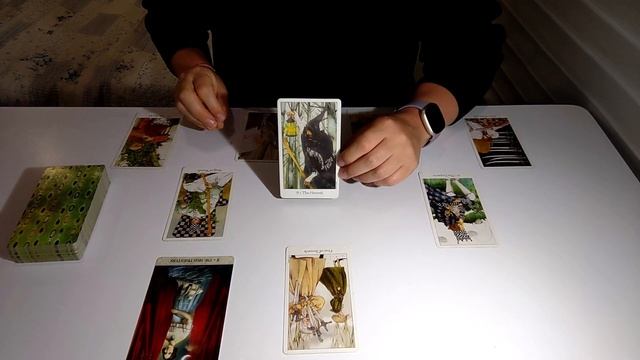 ВОДОЛЕЙ - АВГУСТ 2023