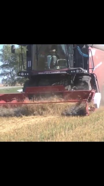 Испытания комбайнов Т-500 и ТЕСТ смотреть онлайн