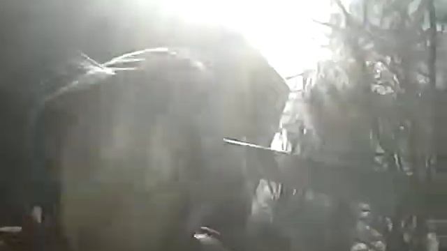 Саня упал на льду смотреть онлайн