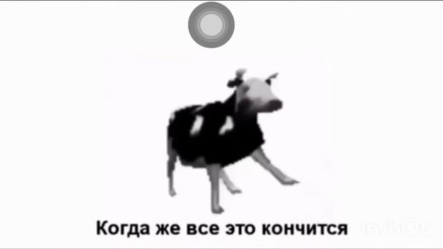 Корова флексит под польскую песню (ПЕРЕВОД) смотреть онлайн