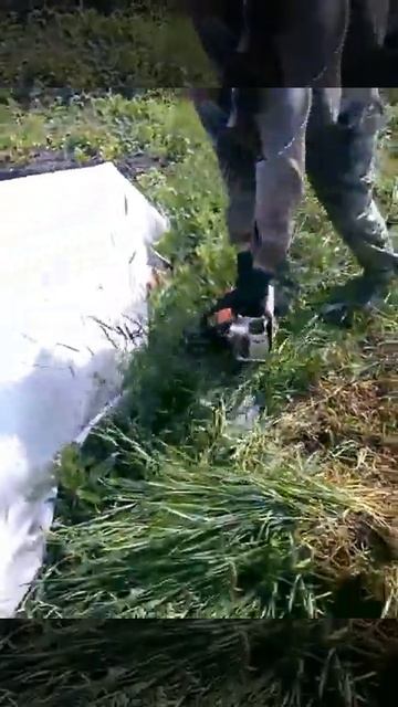 вот как правильно косить траву!!! смотреть онлайн