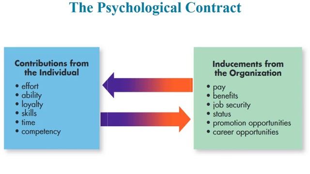 Introduction to Business - Employee Behavior and Motivation смотреть онлайн