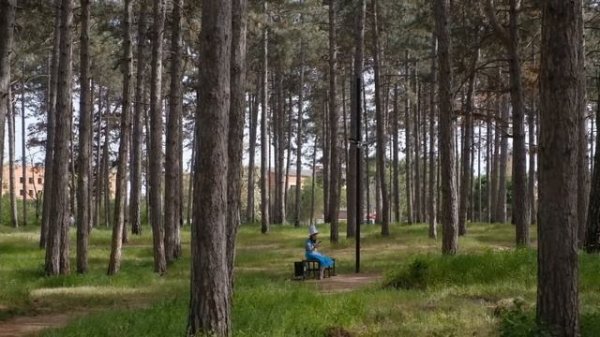 Красивая провинция: минусы и плюсы жизни в Кропоткине