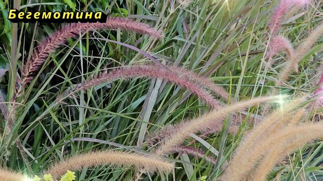 Знаки зодиака, которые получат внезапное богатство летом 2024 смотреть онлайн