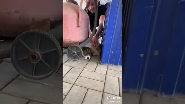 29 ноября 2019 г.