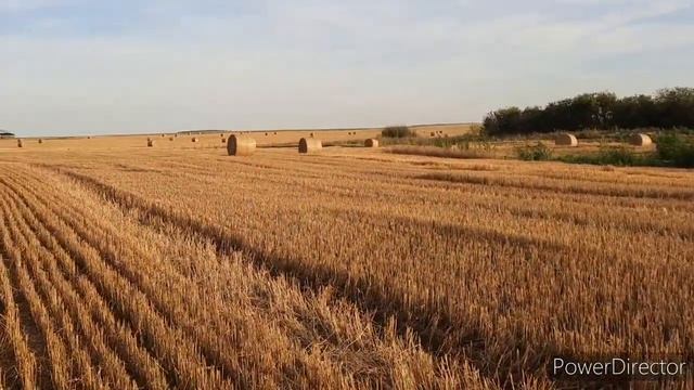 Жизнь на Урале,дорога домой 13 августа 2021 г. смотреть онлайн