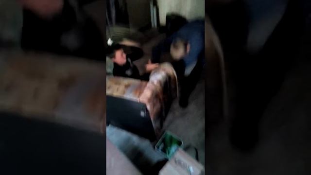 Деревенский "UFC" смотреть онлайн