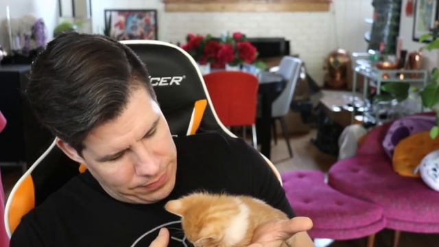 Cuddle Eternal - Lawrence Plays Doom Eternal Ultra Nightmare Highlights Pt. 2 смотреть онлайн