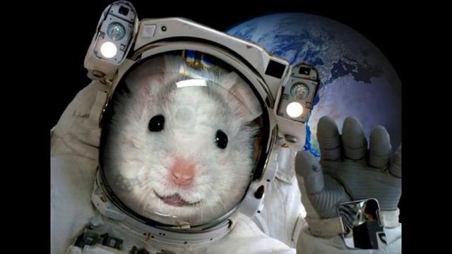 2020 «Малые герои космоса» смотреть онлайн