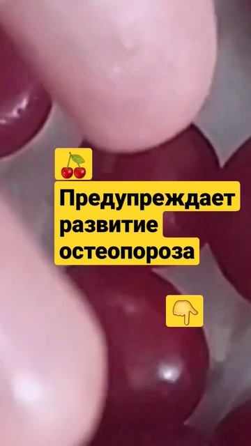 Вишня предупреждает развитие остеопороза #здоровье #вишня #остеопороз #ожирение смотреть онлайн