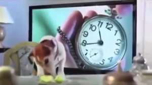 Заставка первый канал реклама 03 2013