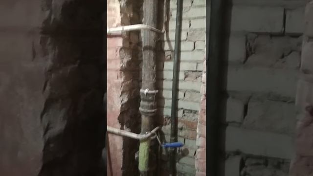 Полтора дня ремонта в ванной. смотреть онлайн