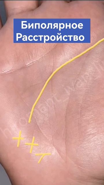 Биполярное Расстройство. #palmistry #хиромантия #эзотерика смотреть онлайн