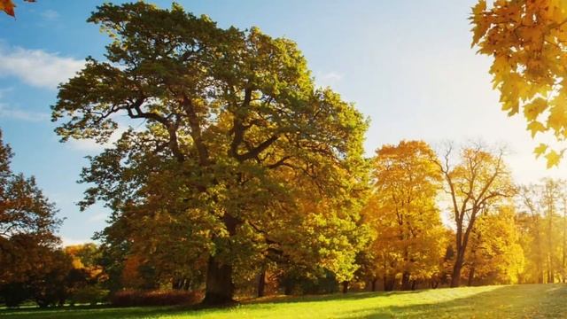 Бабье лето. Песня. смотреть онлайн