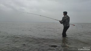 Отличный весенний выезд на набережную Таганрогского залива за пиленгасом🎣 #пеленгас #рыбалка # море