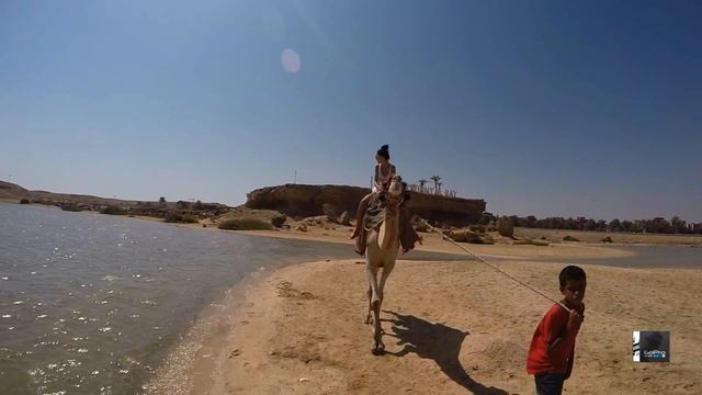 GoPro MARSA ALAM 2014 смотреть онлайн