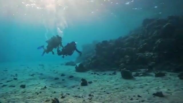 diving trips in marsa alam Egypt смотреть онлайн