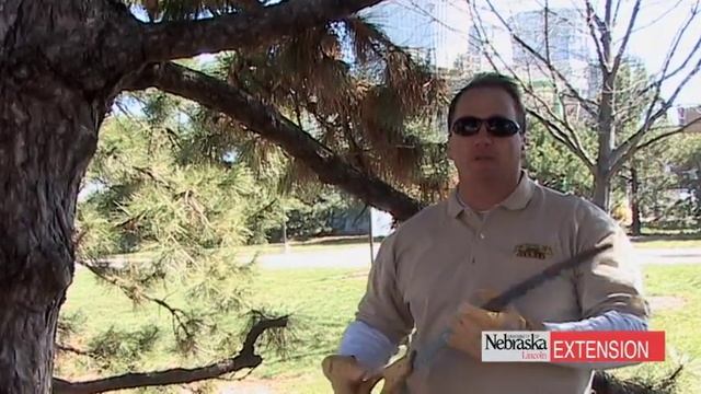 Gardening - Backyard Farmer - Spring Pruning смотреть онлайн