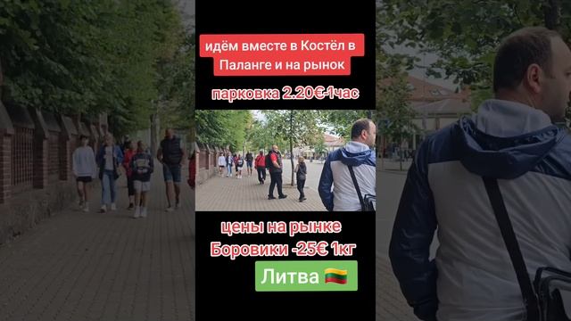 #паланга#костёл #экскурсия #рыба #рынок#цены#шок#космос#путешествие#2023#лето#август смотреть онлайн