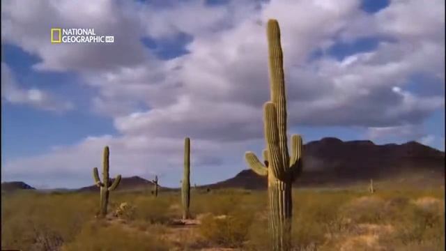 Гибель Земли National Geographic HD