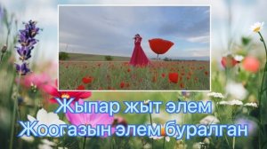 Элера Кабылжан кызы / Жаз болуп келдин /тексти менен /lyrics #элера
