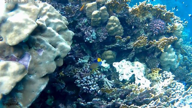 Marsa Alam Aurora Bay 2017