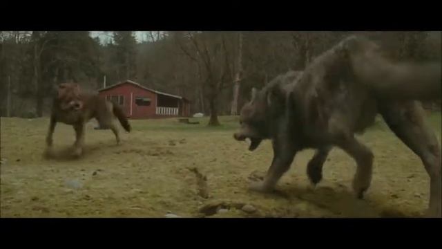 Новолуние смотреть онлайн