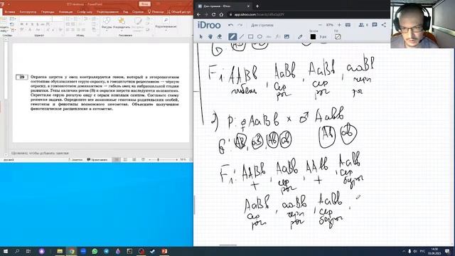 Стрим подготовки к ЕГЭ №4 смотреть онлайн