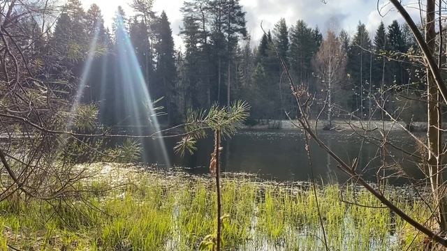 ДЕНЬГИ ДЕЛИМ НА ВСЕХ, НЕ ЧУЖИЕ ЖЕ ЛЮДИ... | Истории из жизни.