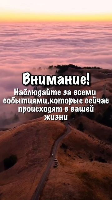 ЧТО ВАЖНО СДЕЛАТЬ СЕГОДНЯ? НА ЧТО ОБРАТИТЬ ВНИМАНИЕ? #таро #весеннееравноденствие #коридорзатмений