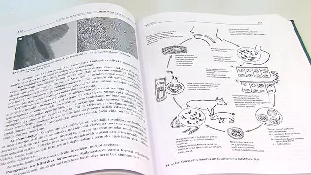 Даугавпилс за 100 секунд смотреть онлайн