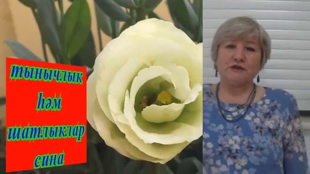 Фәвәрия !Туган көнең белән сине..... смотреть онлайн