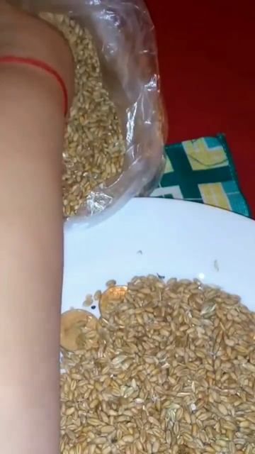 Мощный ритуал на деньги с пшеницей