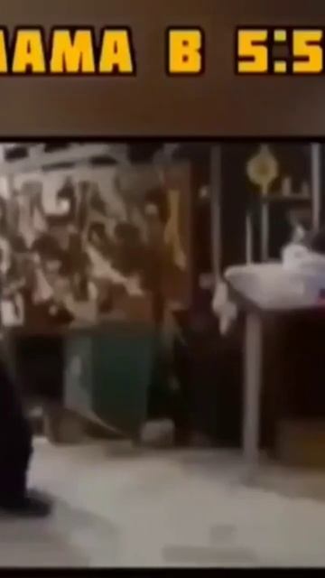 мама ты самая лучшая в мире 🌍❤️😂 #прошу #маму #разбудить #меня #в #6:00... смотреть онлайн