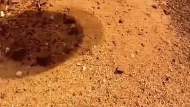 НЛО заснятое марсоходом Curiosity смотреть онлайн