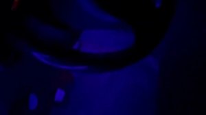 Kia Rio. Многоцветная контурная подсветка салона. Сделал свой автомобиль максимально оригинальным.