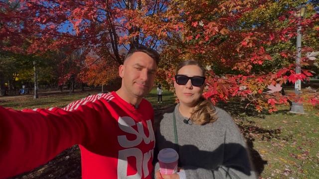 #Торонто | Топ-5 локаций для осенней фотографии 🍁🎃 смотреть онлайн