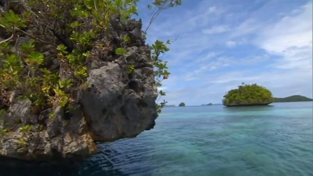 The Sea│Природа Нашей Земли│ смотреть онлайн