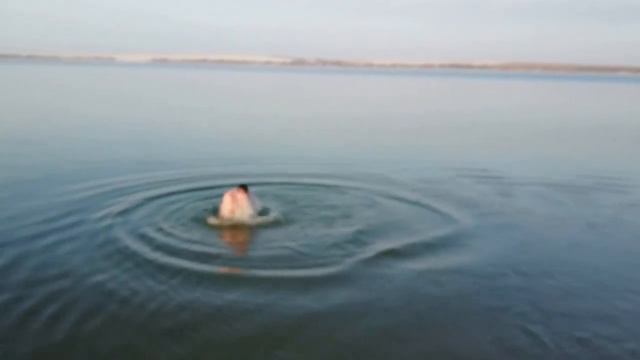 Водохрещення на Михайлiвському водосховищи, ВХ 2017. ЮКО, Шымкент, Казахстан. смотреть онлайн