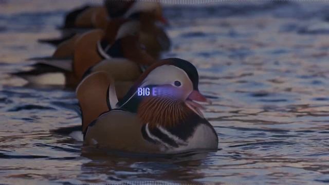 Rare Severe Geomagnetic Storm Warning | EMERGENCY смотреть онлайн