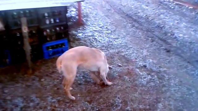 За вікном зорельота смотреть онлайн