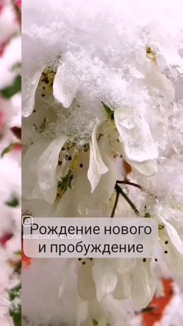 Весна! Взрывная сила. смотреть онлайн