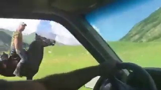 Прекрасная Зелёная ) смотреть онлайн