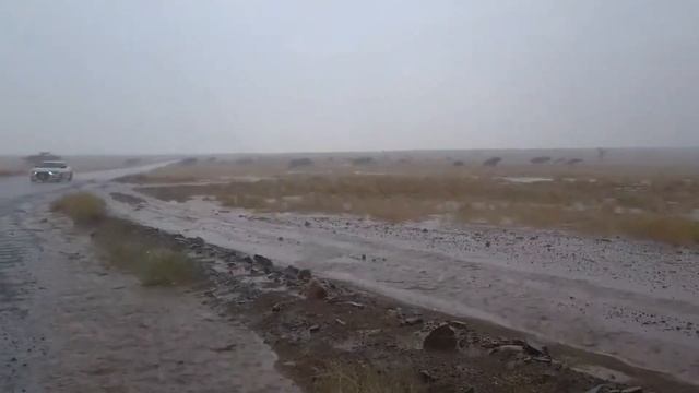 عصف مطري رهيب جنوب السعودية ، هروب جازان смотреть онлайн