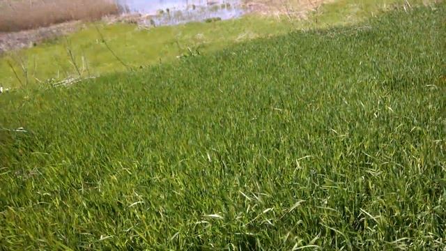 Перша культивація 2022 смотреть онлайн