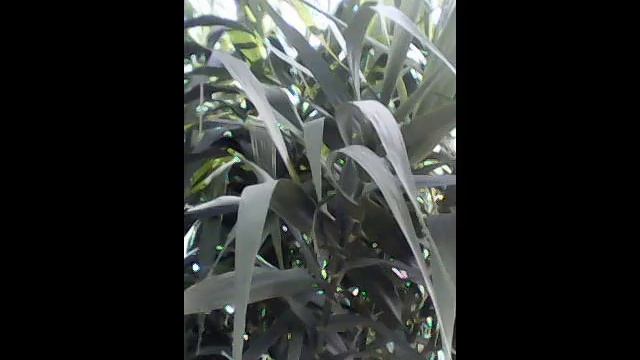 la marsa dermech kanta s mansour tunisia novotel sept 2019 - carthage mai 2020 смотреть онлайн